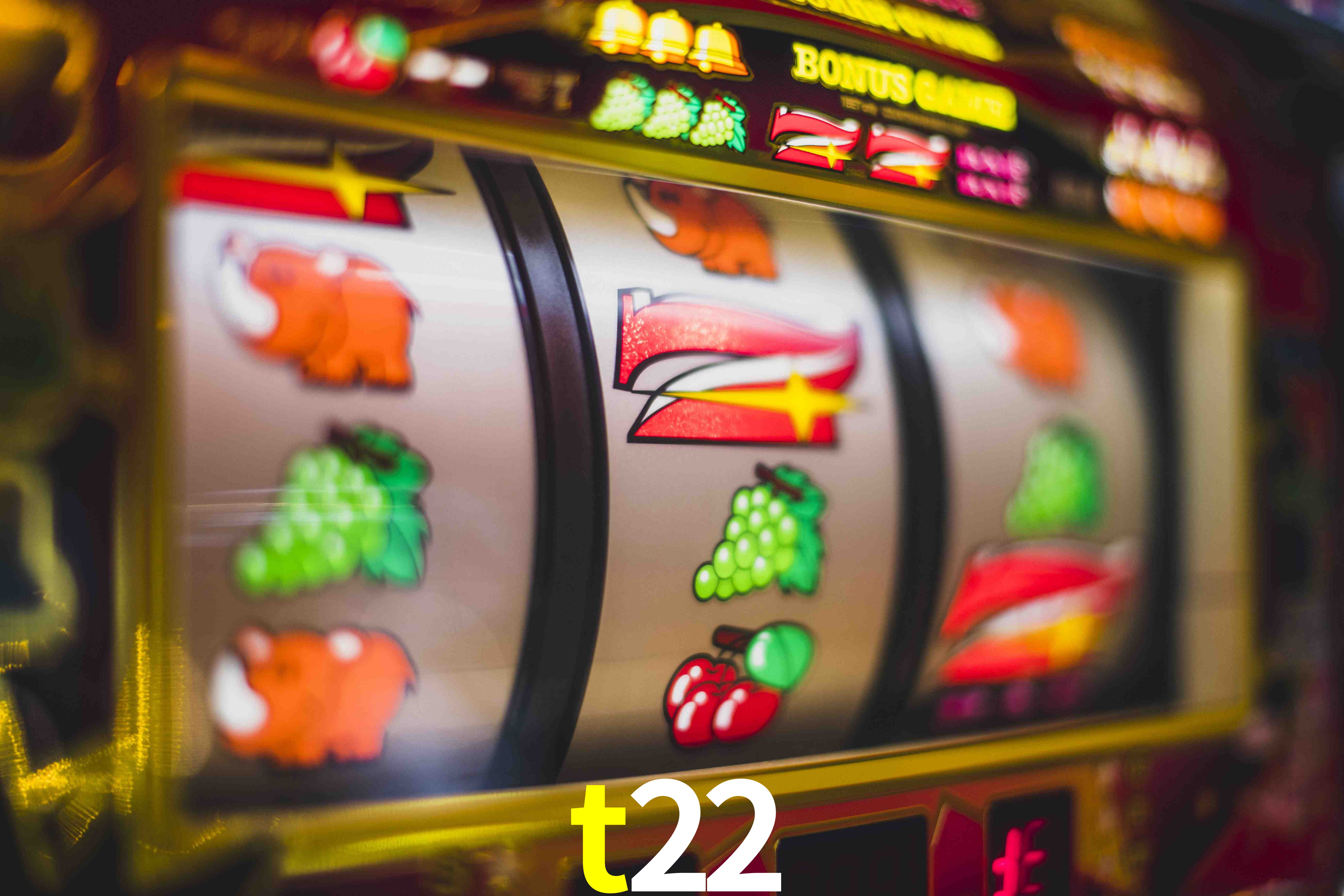 VIP Casino t22